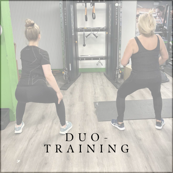 Duo-training