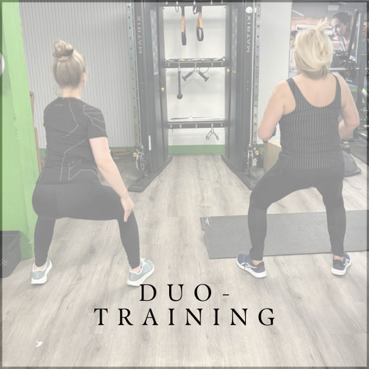 Duo-training