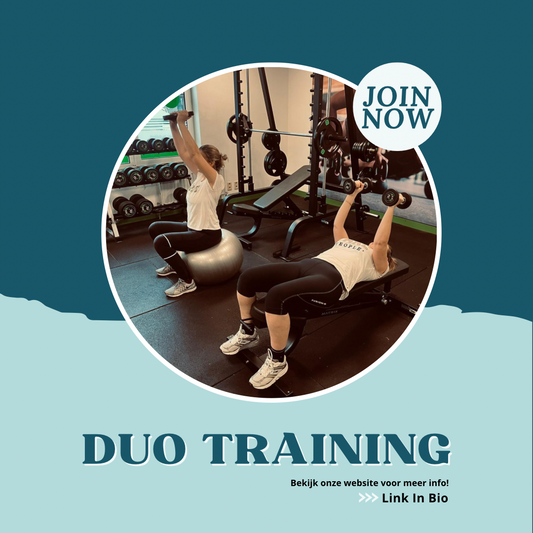 Duo-training